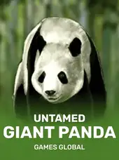 Untamed Giant Panda