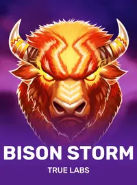 Bison Storm